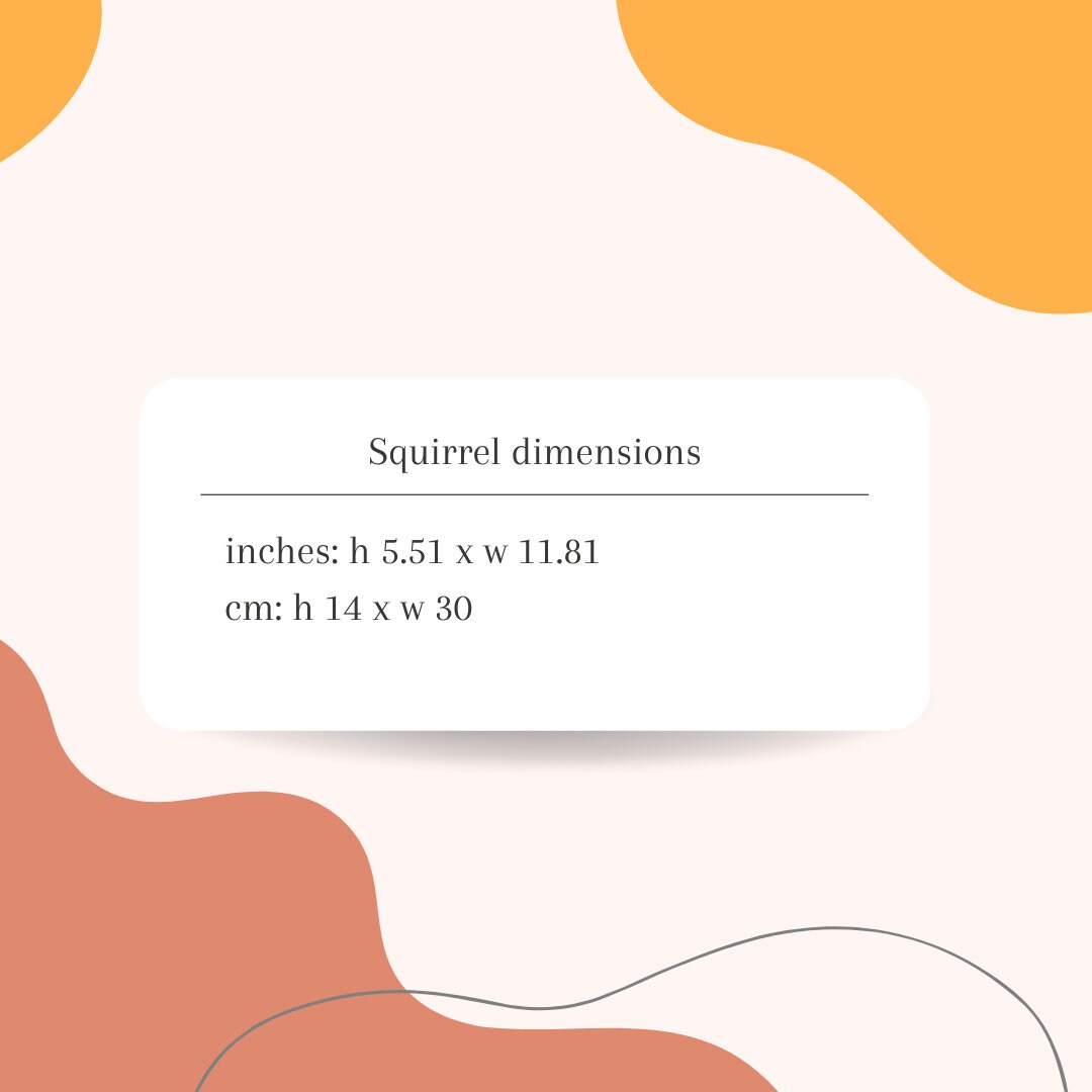 Kids Wall Hook Squirrel Brown